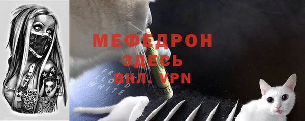 шишки Белоозёрский