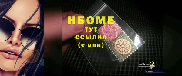 хмурый Няндома