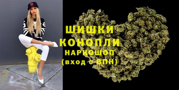 хмурый Няндома