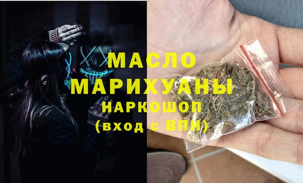 хмурый Няндома
